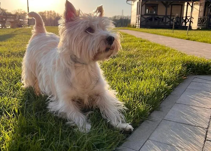 San Sebastian - Nad Morzem * Устка