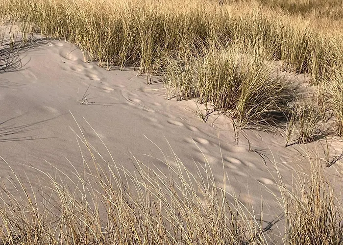 San Sebastian - Nad Morzem * Устка